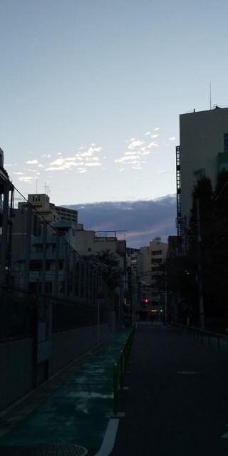 DSC_0657.JPG